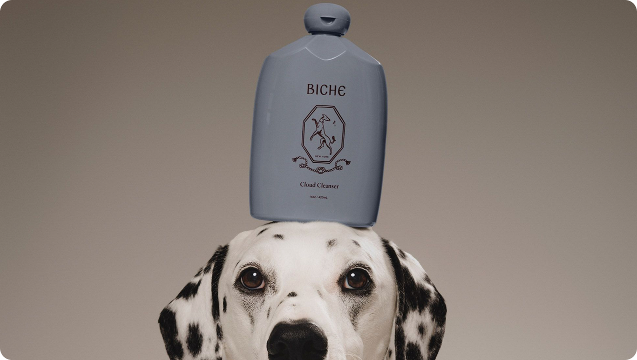 Biche pet care product with dog