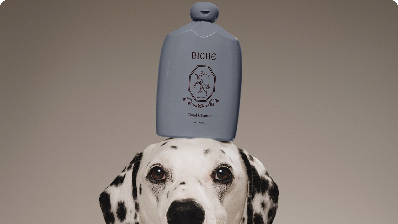 Biche pet care product with dog